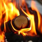 brennendes_Holz