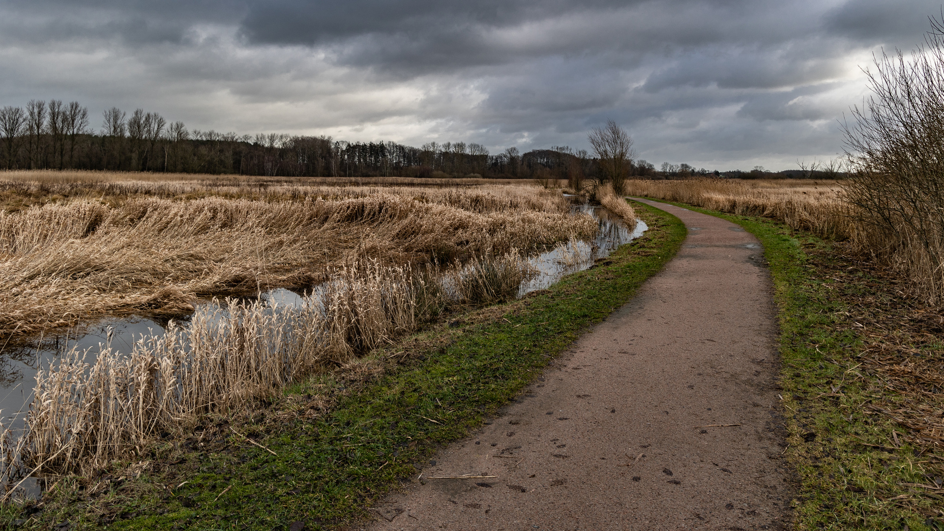 Brenner Moor