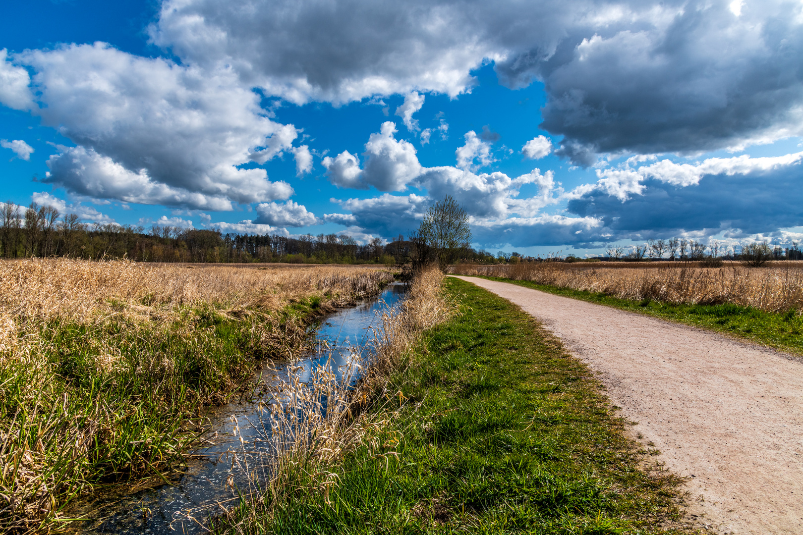 Brenner Moor 