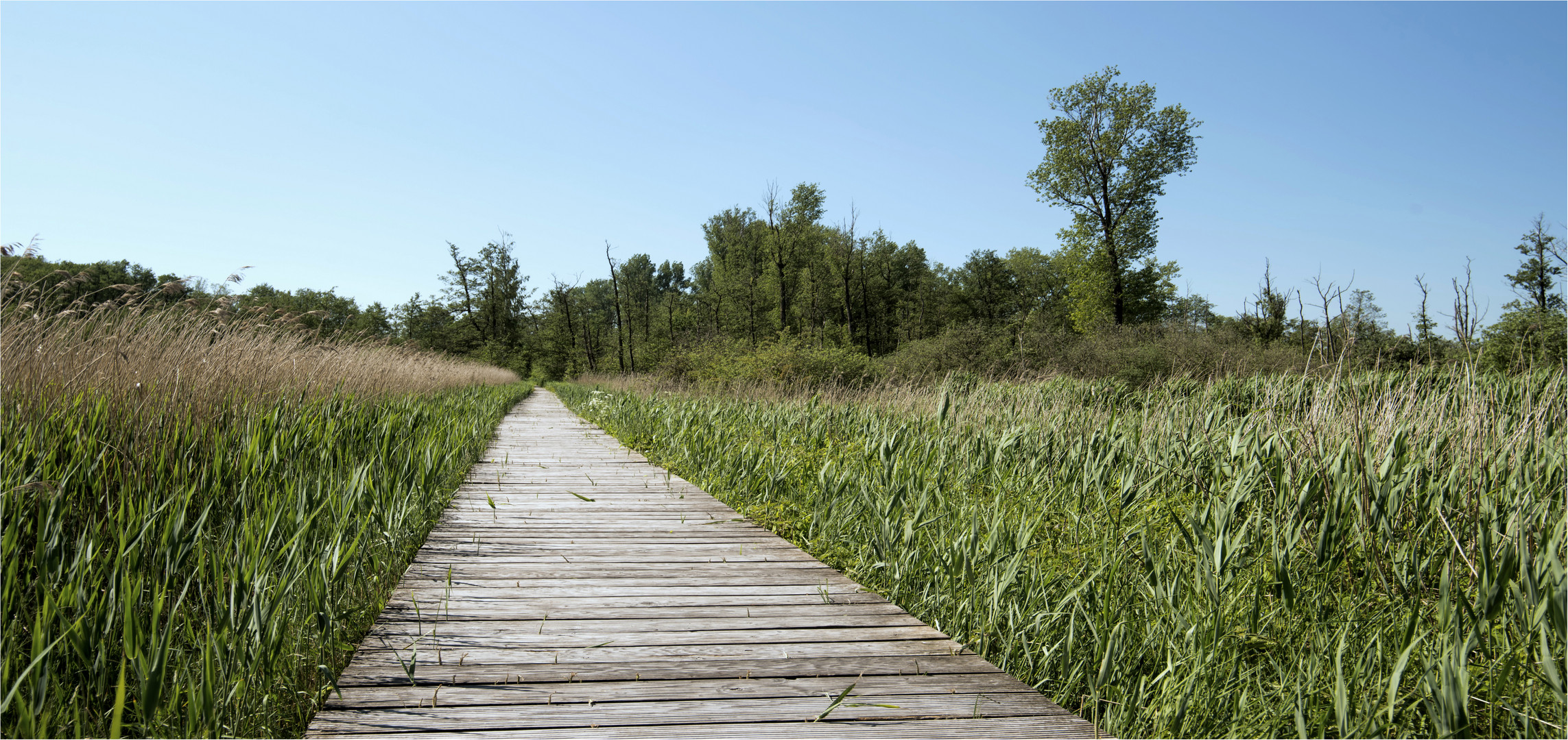 Brenner Moor, Bad Oldesloe