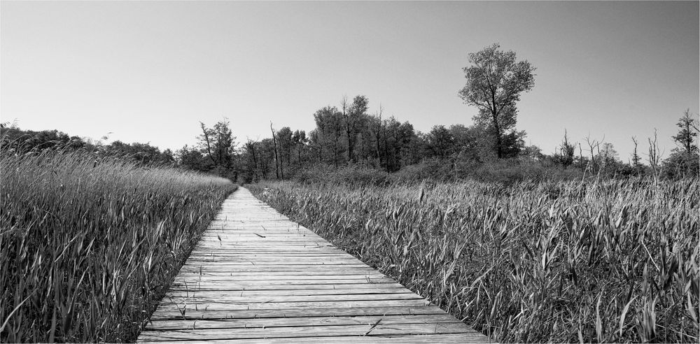 Brenner Moor, Bad Oldesloe