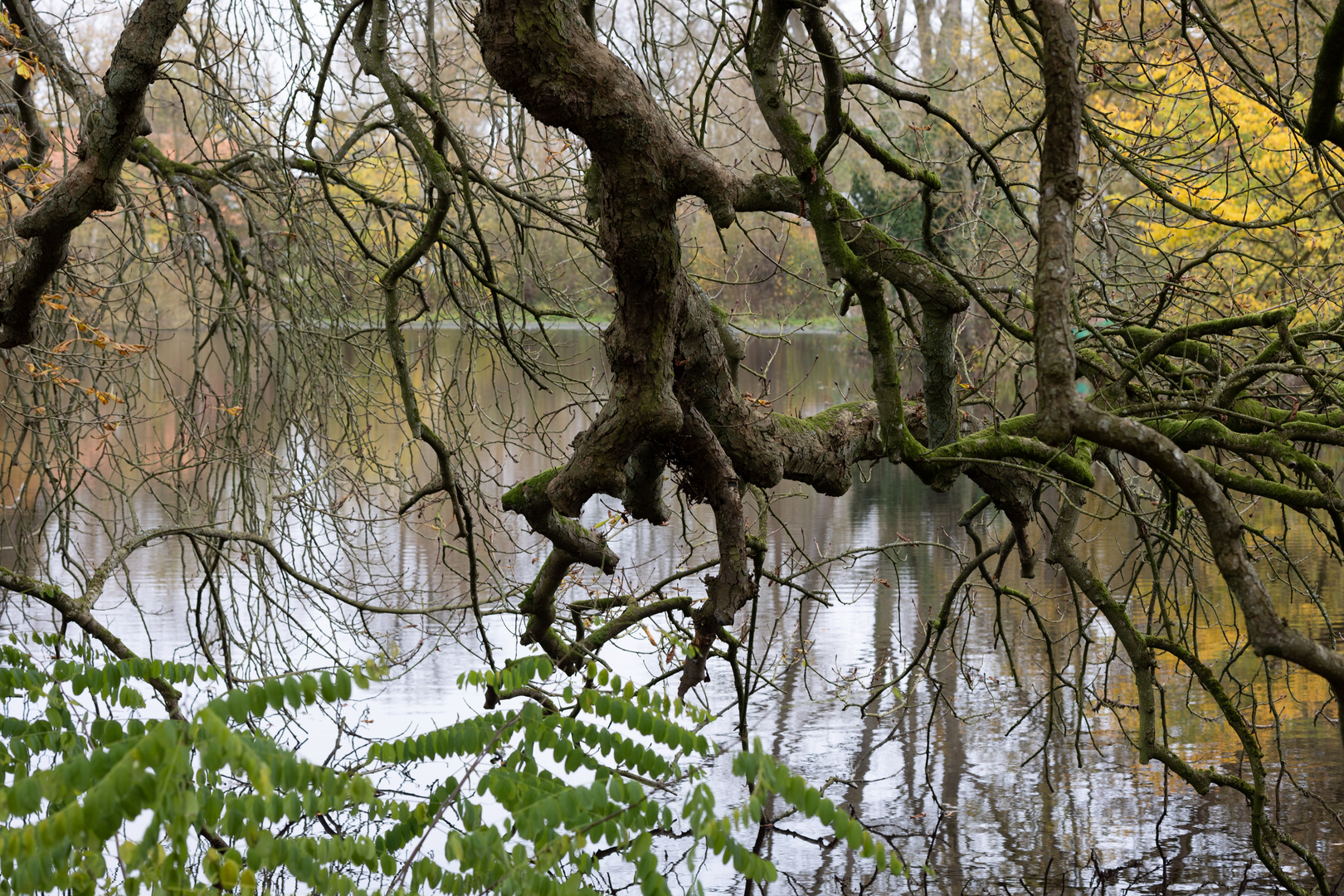 Brenner Moor im Herbst 2024