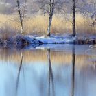 Brenner Moor im Winter 1