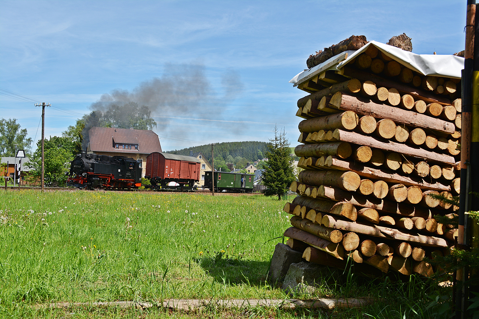 Brennholz für den Winter