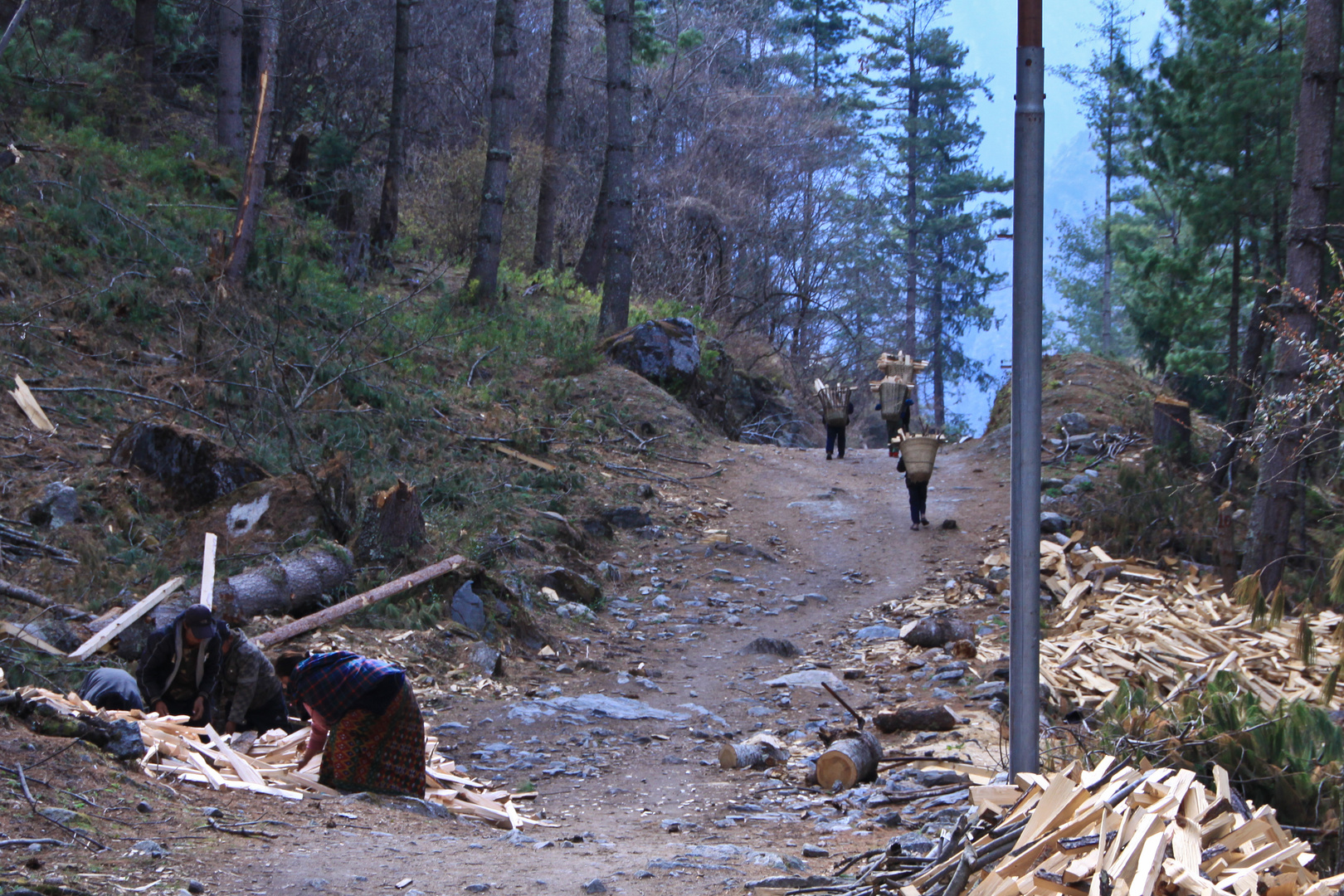 Brennholz Transport Nepal