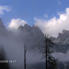 Brenta - Wilde Natur