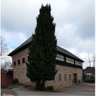 Brentano Haus in Winkel/Rhein