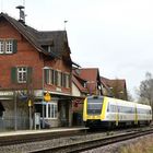 Brenzbahn am Bf Rammingen 18.3.2024