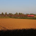 Brenzbahn: Güterzug im Abendlicht