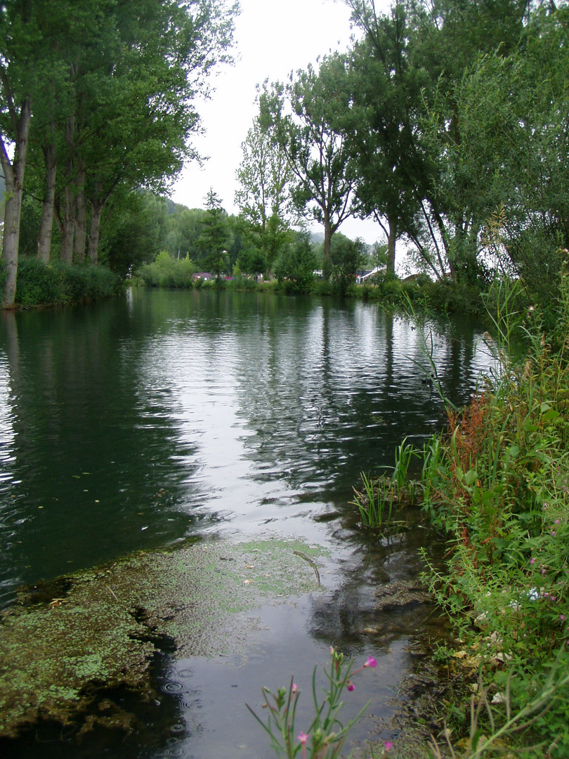 Brenzsee im Sommer