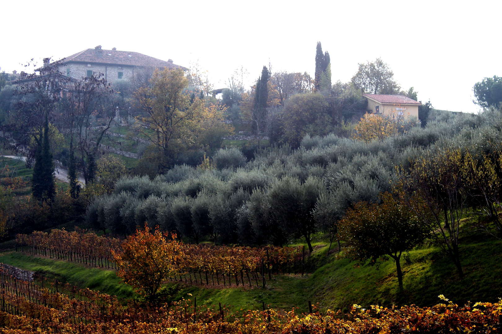 Brescia. Collebeato. Località Campiani.