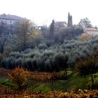 Brescia. Collebeato. Località Campiani.