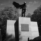 Breslau - ein Denkmal im Park