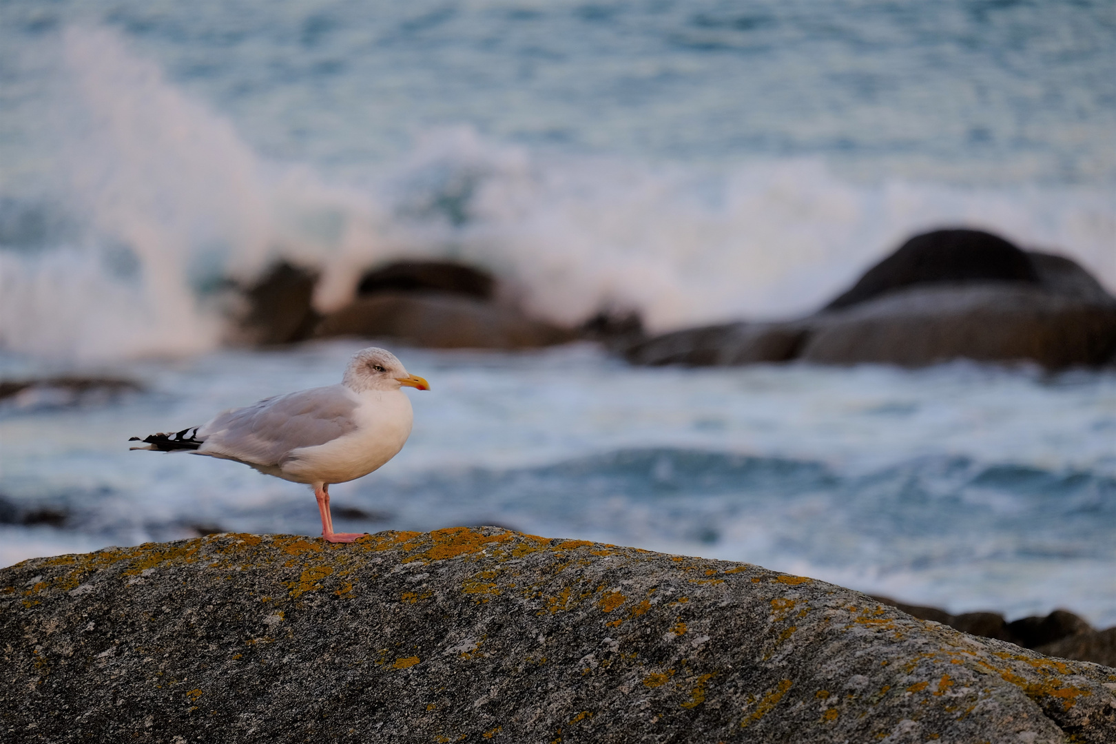 Bretagne 2018