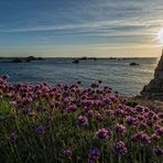 Bretagne - bei Le Gouffre