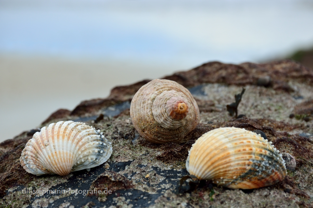 Bretagne