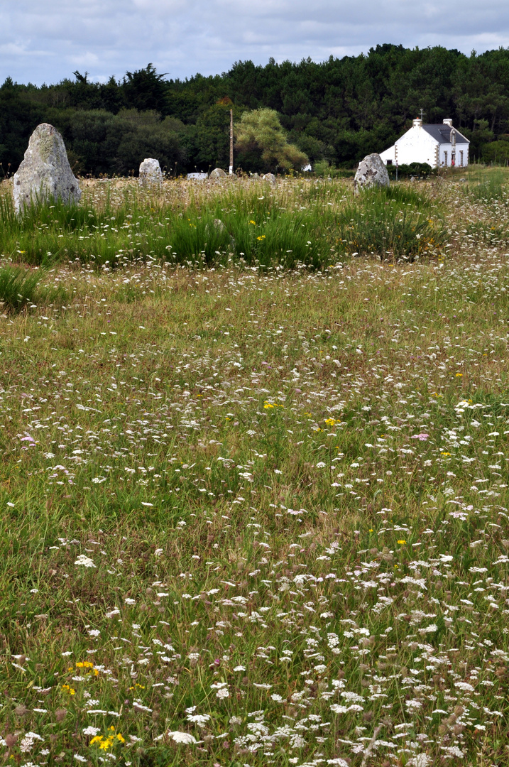 Bretagne, Carnac, Dolmen