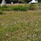 Bretagne, Carnac, Dolmen