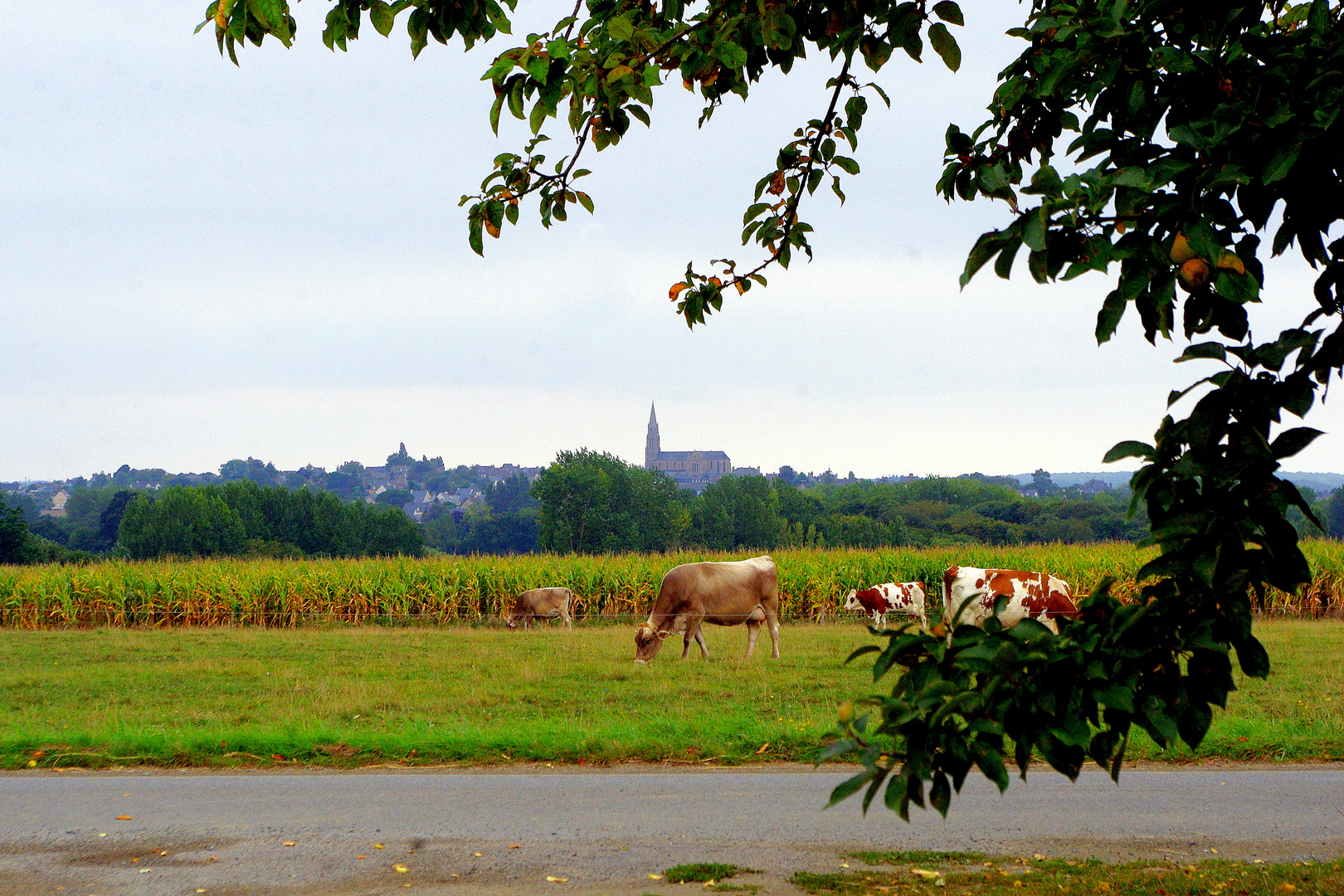 Bretagne ... Cidrerie de Pleudihen