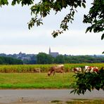 Bretagne ... Cidrerie de Pleudihen