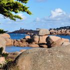 Bretagne - Côte de Ganit Rose