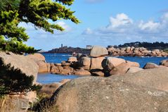 Bretagne - Côte de Ganit Rose