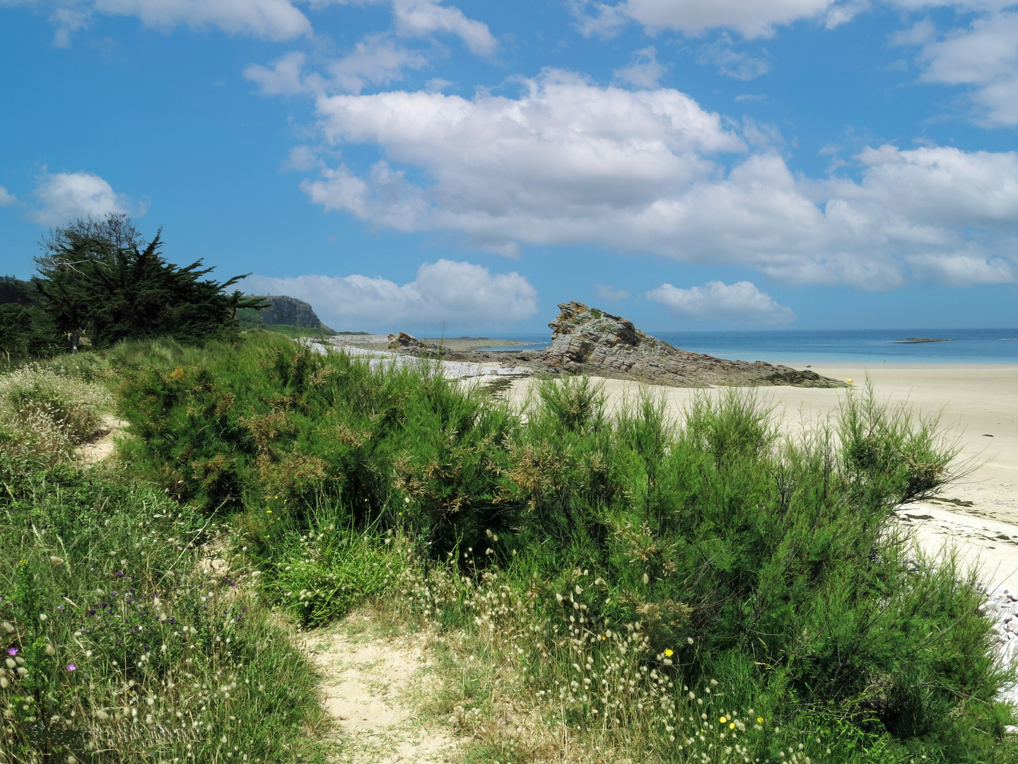 Bretagne - Erquy - Plage Saint Michel (1) - Dünen