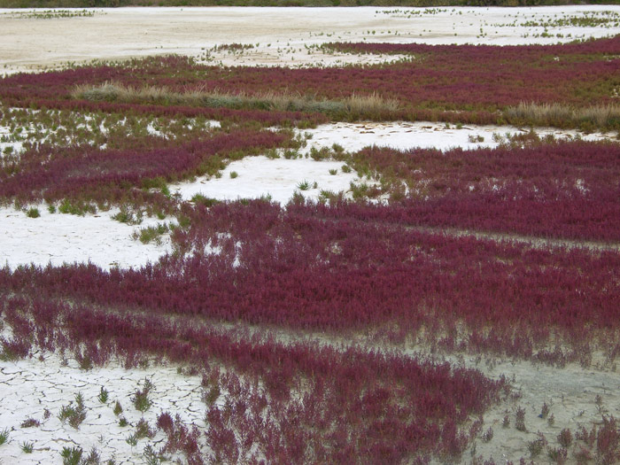 Bretagne