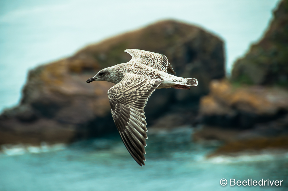 Bretagne