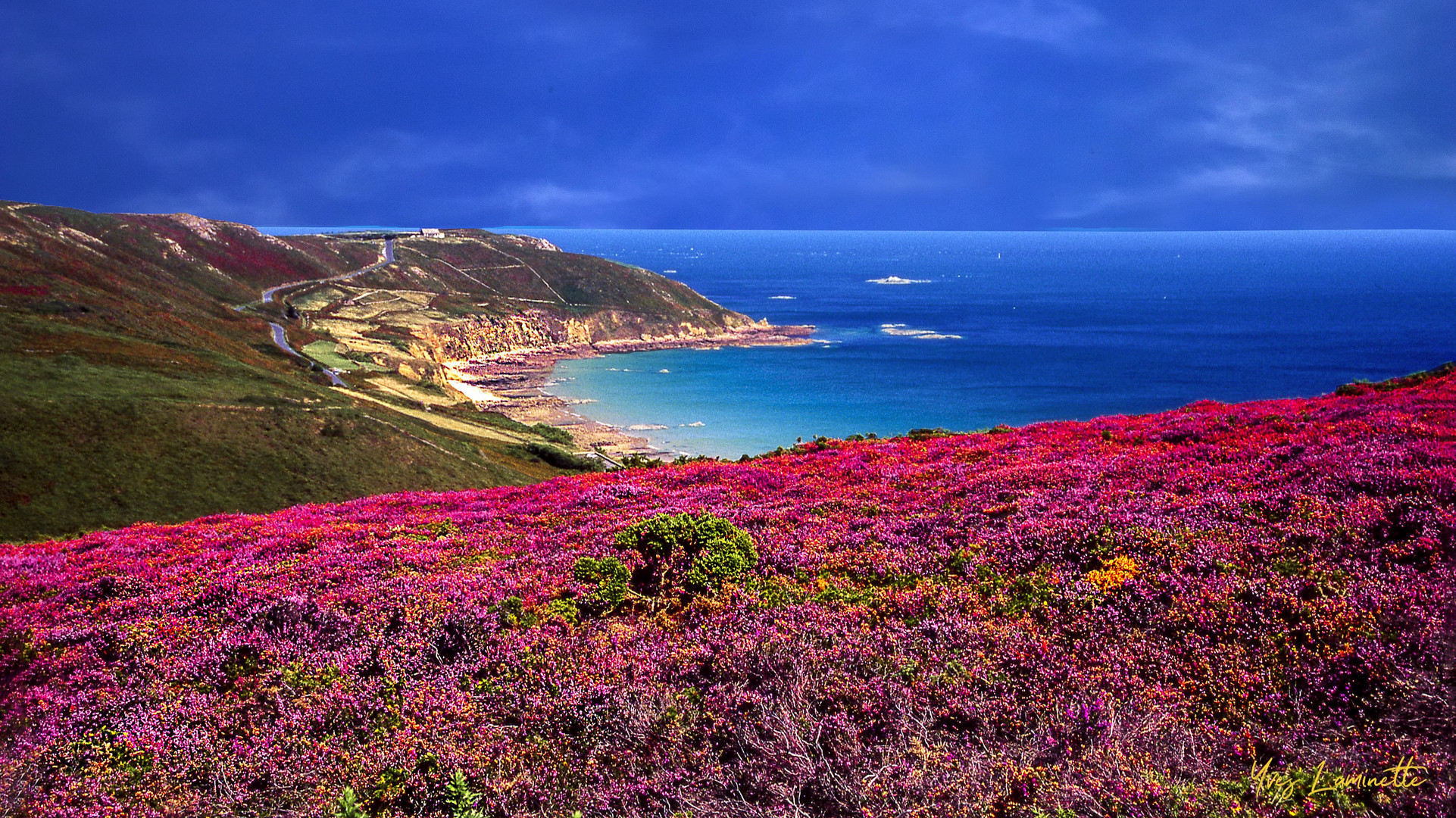 Bretagne fleurie