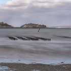 Bretagne, Januar: Austernzucht bei Quélern