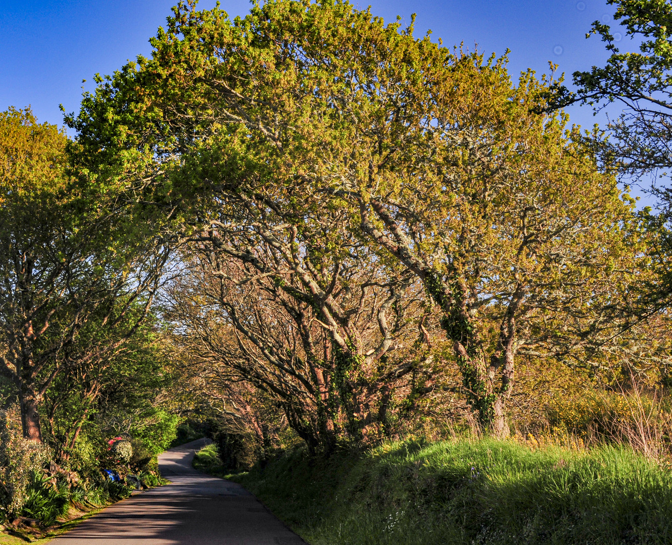 Bretagne, Nähe Trevignon