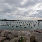 Bretagne - parking à bateaux