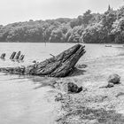 Bretagne, Wrack eines Holzbootes ca. 1980