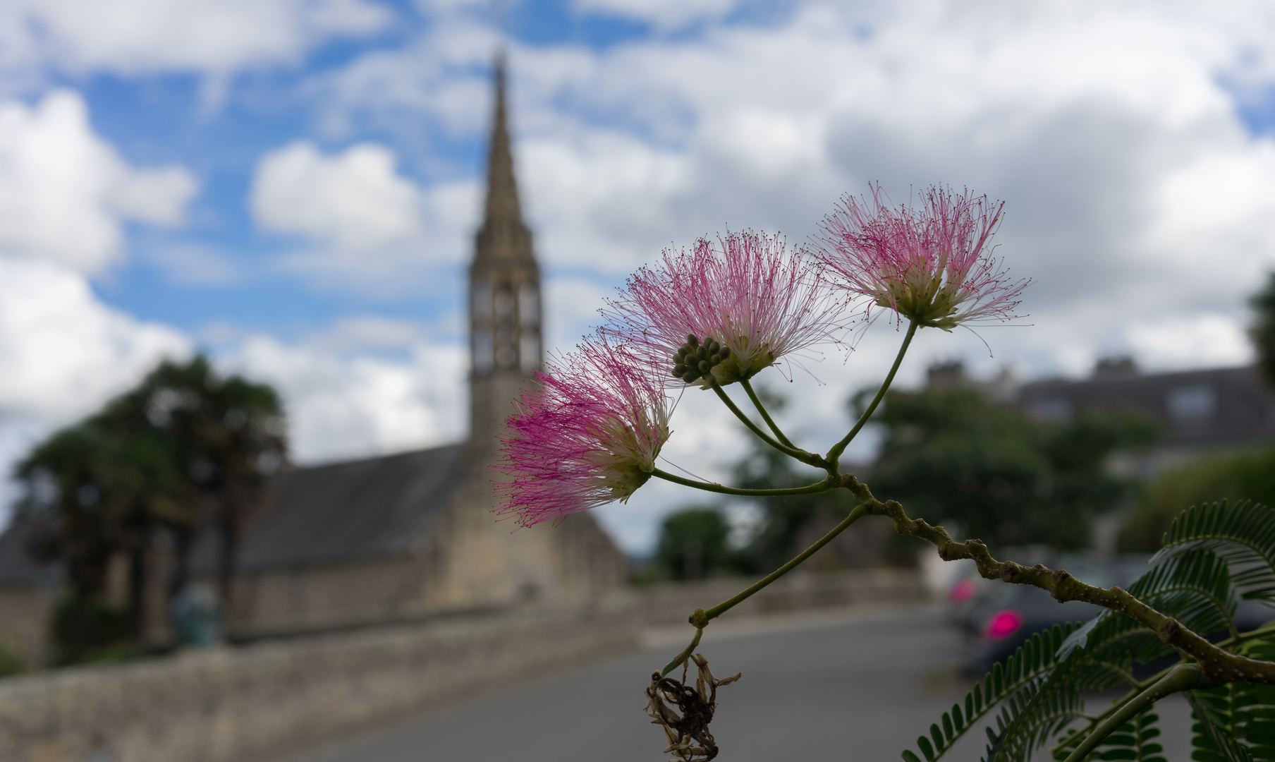 Bretagne_2016_Landevennec