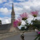 Bretagne_2016_Landevennec