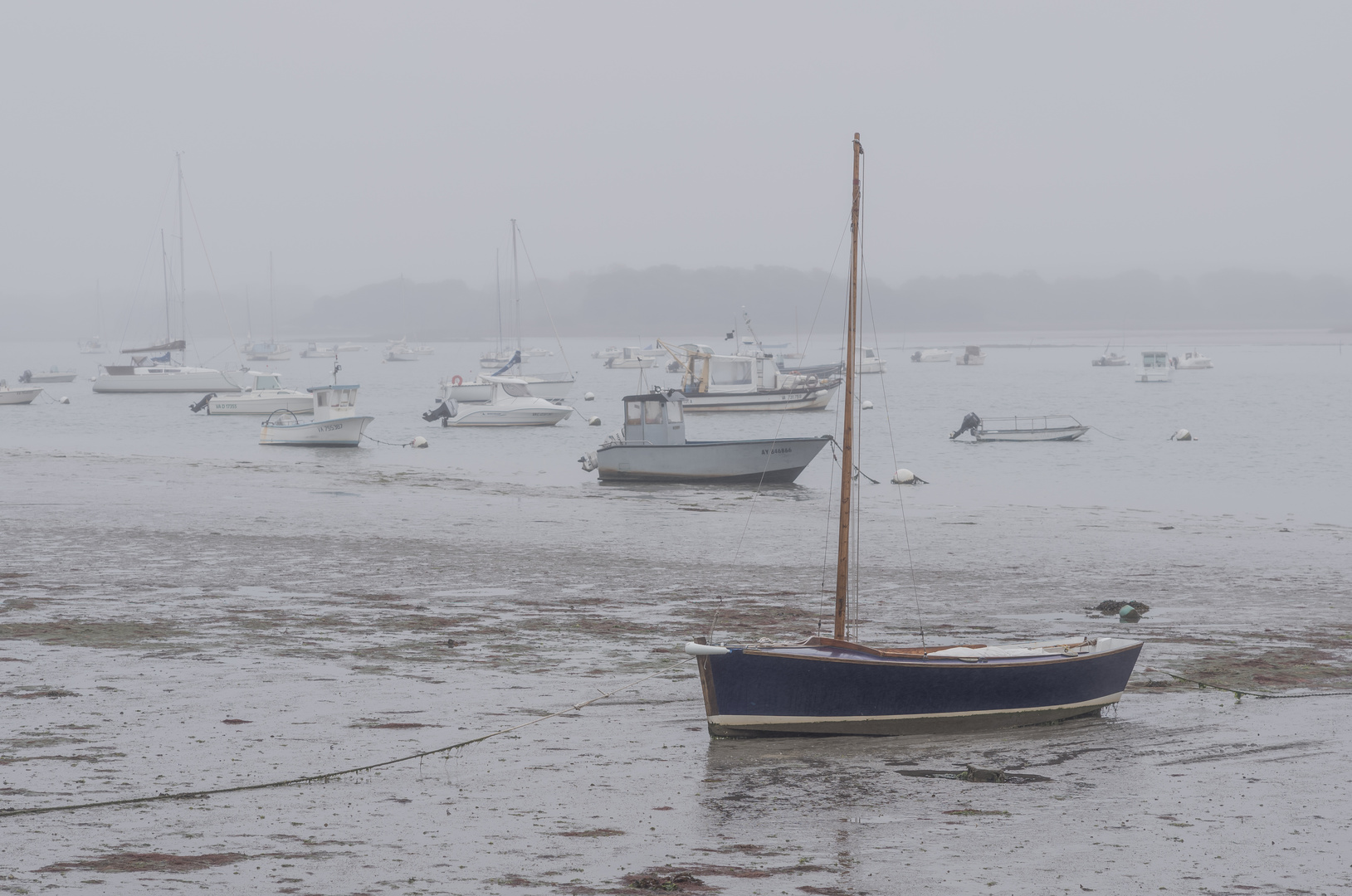 Bretagne_2017_boat