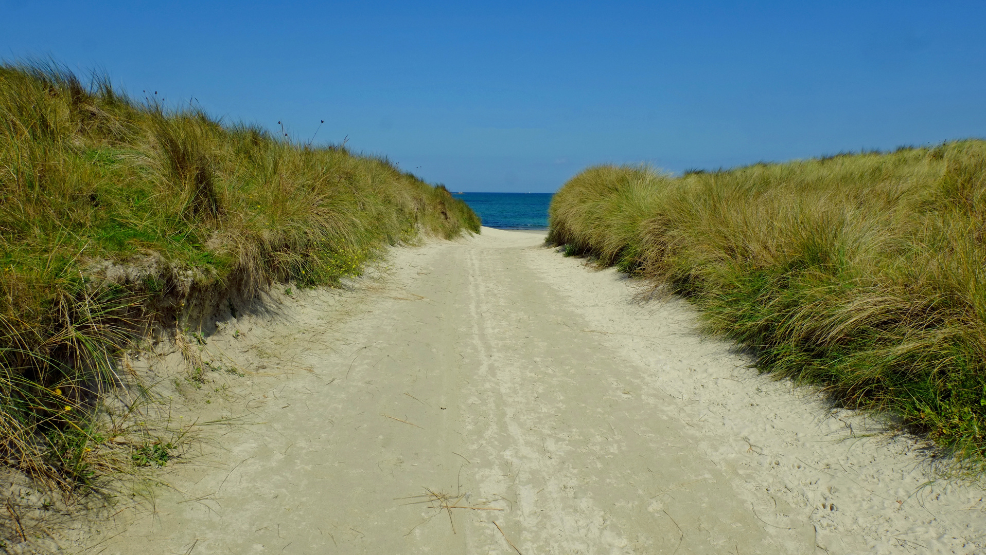 Bretonische Dünen