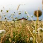 Bretonische Wiese mit Fischerboot