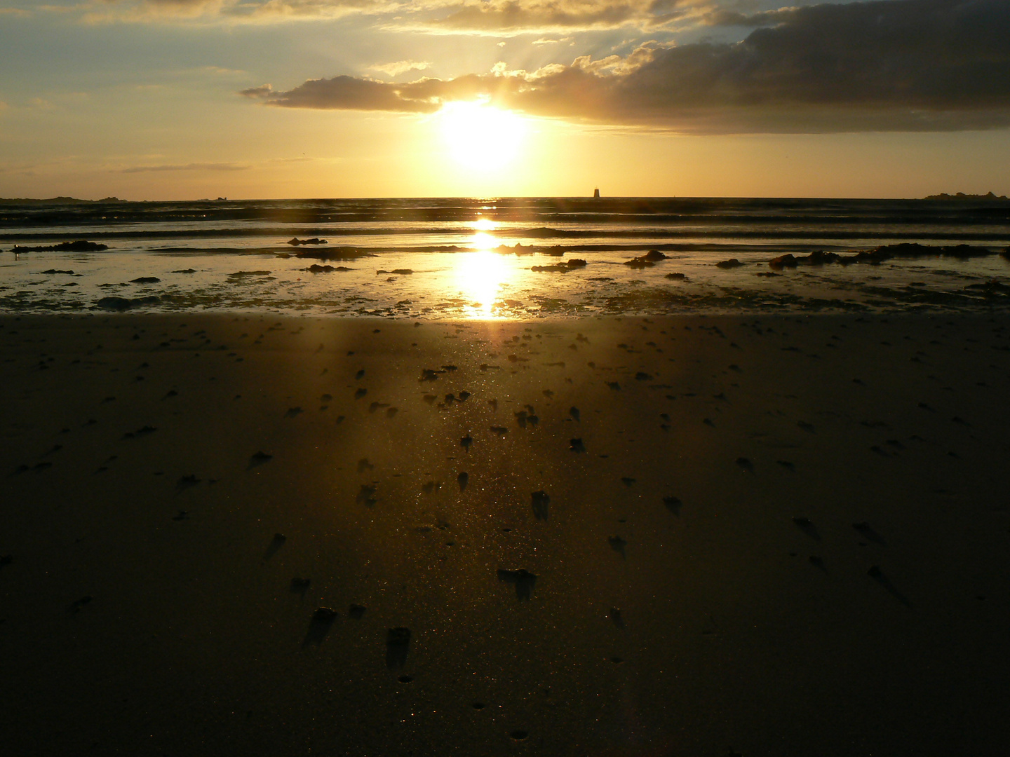 bretonischer sandwurm in der abendsonne