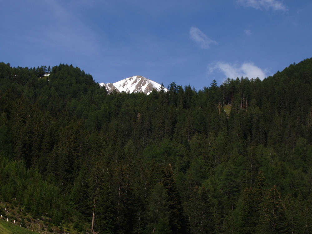 Bretterwandspitze