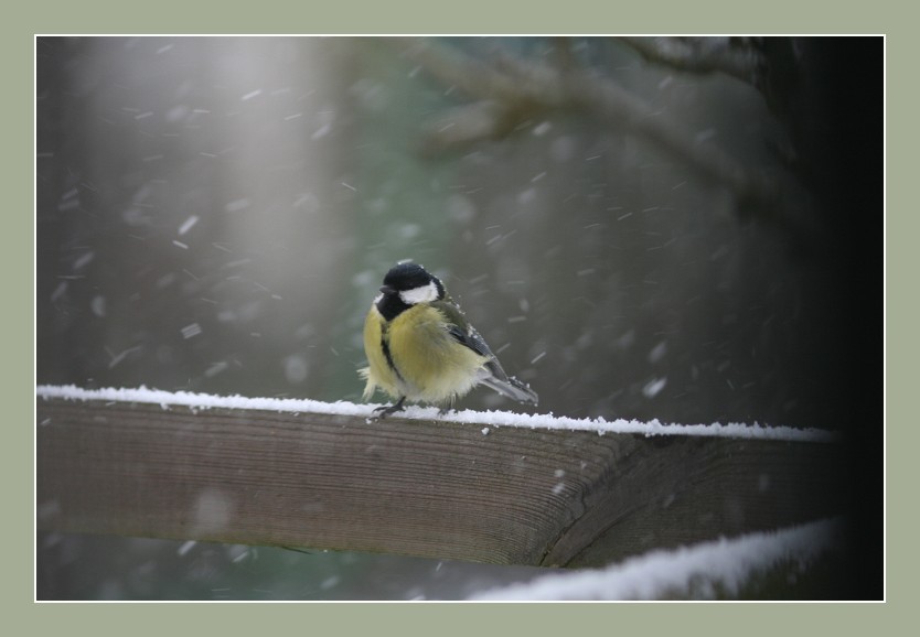 Breu....;il n'en finit jamais cet hiver.