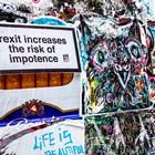 Brexit's risks
