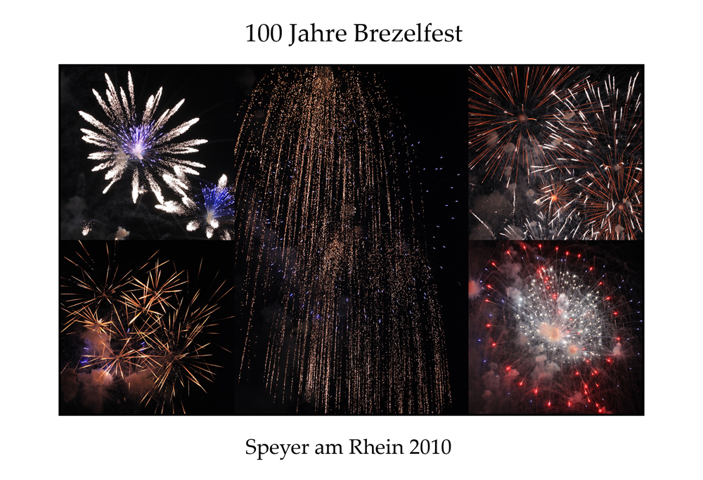 Brezelfeuer 2010