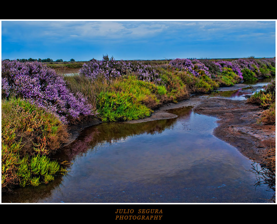 Brezos en HDR