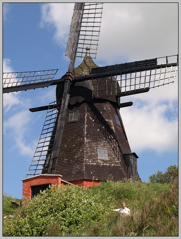 Børglum Kloster Mølle II