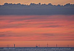 Bri Rauch - Windpark Nordsee Ost