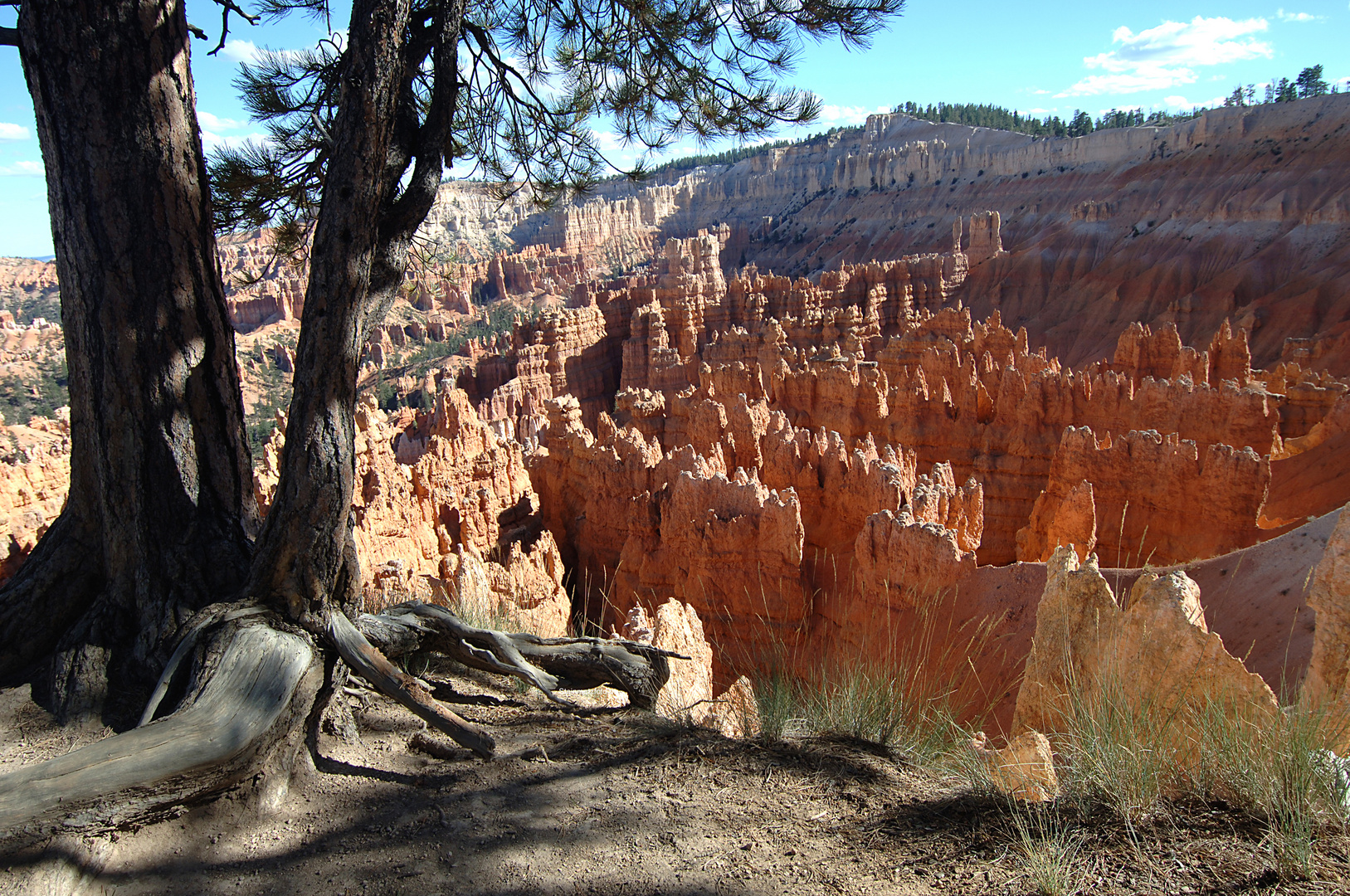 Brice Canyon 1