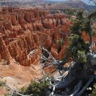 brice canyon