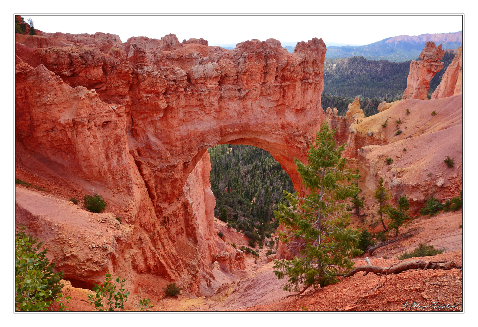 Brice Canyon Bridge